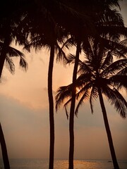 Fototapeta premium sunset on the beach