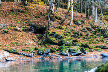 Clean mountain river in the autumn forest.