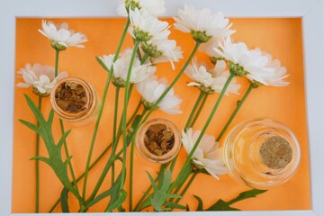 Chamomile essential oil in transparent bottles set and white chamomile flowers in a white frame on a bright orange background.Beauty, health and wellness. Organic Natural Cosmetics 