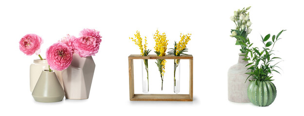 Different vases with flowers on white background