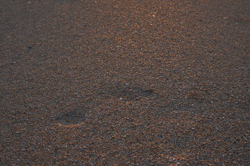 An image of a footprint of a person.