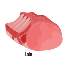 Meat steak vector icon.Cartoon vector icon isolated on white background meat steak