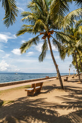 The promenade along Rizal Boulevard with palm trees and sea view, City of Dumaguete, Negros Oriental, Philippines. Vertical image.