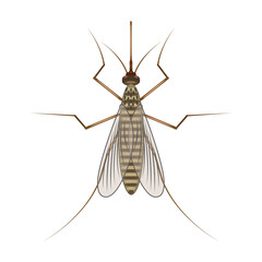 Parasites vector icon.Cartoon vector icon isolated on white background parasites.