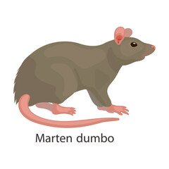 Rat vector icon.Cartoon vector icon isolated on white background rat.