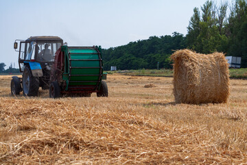 tractor makes big straw roll on yellow field at summer day