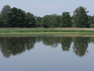 Fototapeta na wymiar Forest reflected in waters of artificial breeding pond in european Goczalkowice town at Silesian district in Poland, clear blue sky in 2020 warm sunny spring day on June.