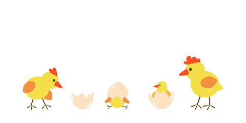 Cute flat banner - baby chickens standing on line. Small yellow bird animals hatching from egg. Set of vector kawaii newborn chicks isolated on white background for farm organic food products design