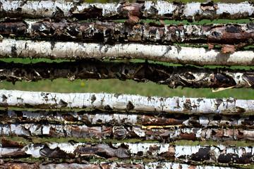Close up of rustic fence made of birch logs