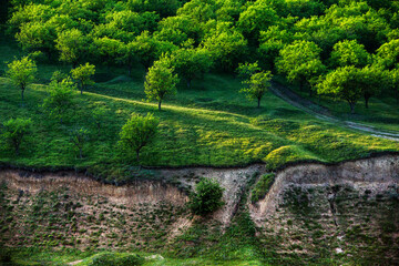 Fototapeta na wymiar La Castel Landscape Reserve in Republic of Moldova. Green landscape. Amazing Nature. Park with Green Grass and Trees. Grassy field and rolling hills. rural scenery. Europe nature.