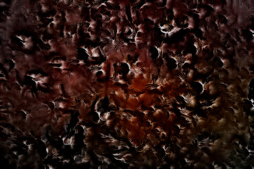 Abstract fractal. Fractal art background for creative design. Decoration for wallpaper desktop, poster, cover booklet, card. Psychedelic.