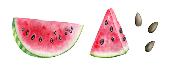 Watercolor fresh watermelon slices and seeds isolated on white background. Hand drawn food illustration, fruits set summer clipart.