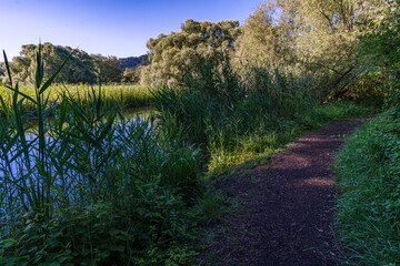 Premium hiking trail Seegang on Lake Constance
