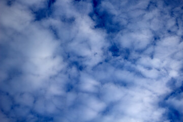 Fototapeta premium Air clouds in the blue sky. sky background