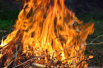 fire - dry branches burn on a background of green grass