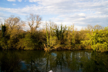 Fototapeta na wymiar reflection of trees in river water