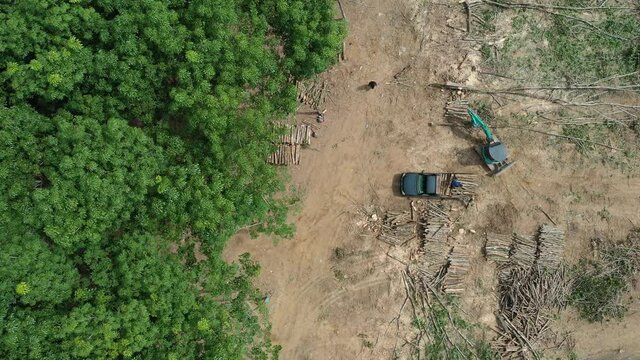 Logging or deforestation of forest. Clearing land for agriculture