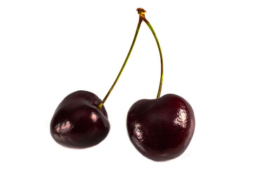 Two black cherries isolated on white background