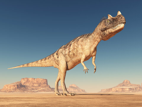 Dinosaurier Ceratosaurus in einer Wüste