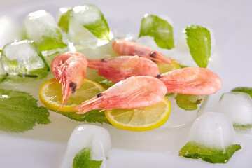 Shrimps on ice with mint leaves. Light background. Close-up. 