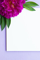 Pink peony flower and blank sheet for notes. Top view, mockup