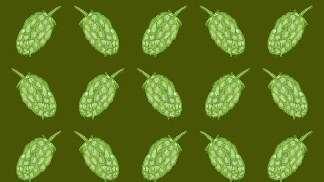 hop sprout pattern, ideal footage for themes such as craft beers, natural products and alcoholic beverages