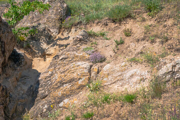 Fototapeta na wymiar Stone rocks protruding from under the clay and sand are overgrown with mountain flowers, grass and thyme.