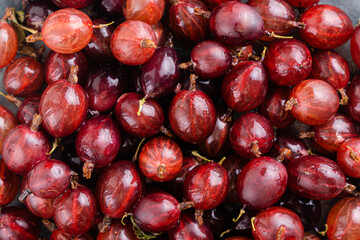Close up shot of red gooseberry harvest. Healthy lifestyle and eating. Vegan food