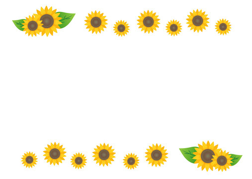 Sunflower background/vector