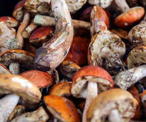 brown mushrooms in a bucket. trade in forest mushrooms.