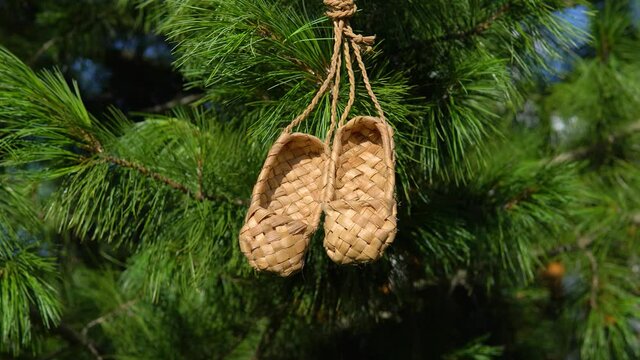 Antique handmade rustic shoes - bast shoes. A pair of bast shoes hanging on a branch of cedar or pine.