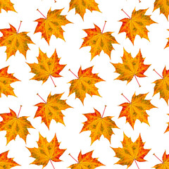 Autumn maple leaves seamless print on a white background.