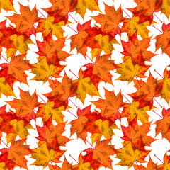 Naklejka na ściany i meble autumn seamless pattern with maple leaves on a white background