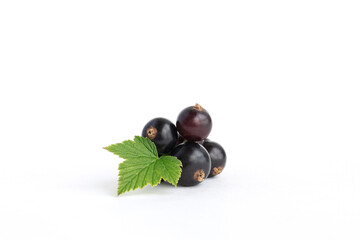 Ribes nigrum, Blackcurrant fruit and leaves isolated on white background