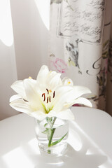 Lily flowers in vase on white table with copy space.