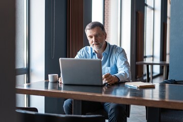Mature businessman working on laptop. Handsome mature business leader sitting in a modern office