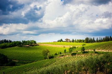 Fototapeta na wymiar Chianti hills with vineyards and cypress. Tuscan Landscape between Siena and Florence. Italy