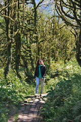 Fototapeta na wymiar photo of a girl, walking along the trail path, through Dead boxwood forest to Mirveti Waterfall in the mountains of Georgia at sunny day, in spring.
