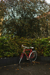 Fototapeta premium Red bicycle near green bushes and trees on urban street