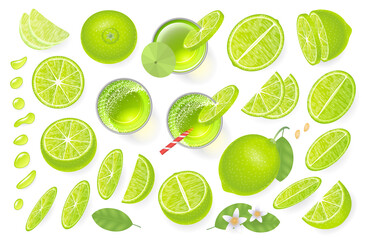 Vector set. Fresh lime and lime juice. Top view. Lime sliced in various pieces, juice in glasses, leaves, flowers, grains, drops. View from above.