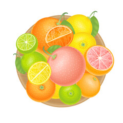Vector illustration. Fresh citrus fruits in a wooden bowl. Top view. Orange, grapefruit, lemon, lime, mandarin. View from above.