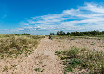 Obraz premium summer day with the flowering shore of Saaremaa, sandy footpath in the sand dunes, Harilaid Nature Reserve, Estonia, Baltic Sea