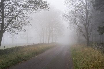 Rural road in the mist