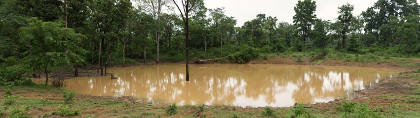 Fototapeta na wymiar A panoramic view of Artifical Water hole full of water during monsoon at buffer zone of Bhandavgarh Tiger Reserve