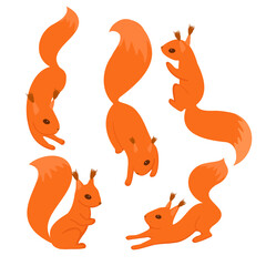 Set of red squirrels in various poses
