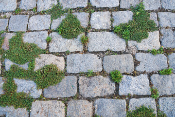 gray paving slabs overgrown with green grass.