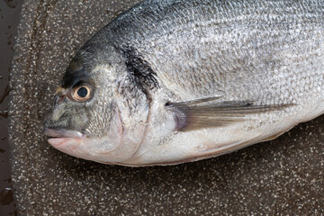Dorado sea fish ready to cook. Raw fish with lemon, oil