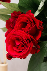 Bouquet of red roses. Beautiful roses close up