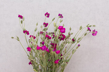 Wildflowers in vase in the interior