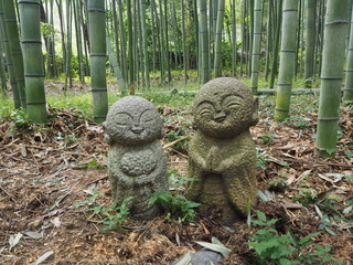 Obraz premium OLYMPUS DIGITAL CAMERA